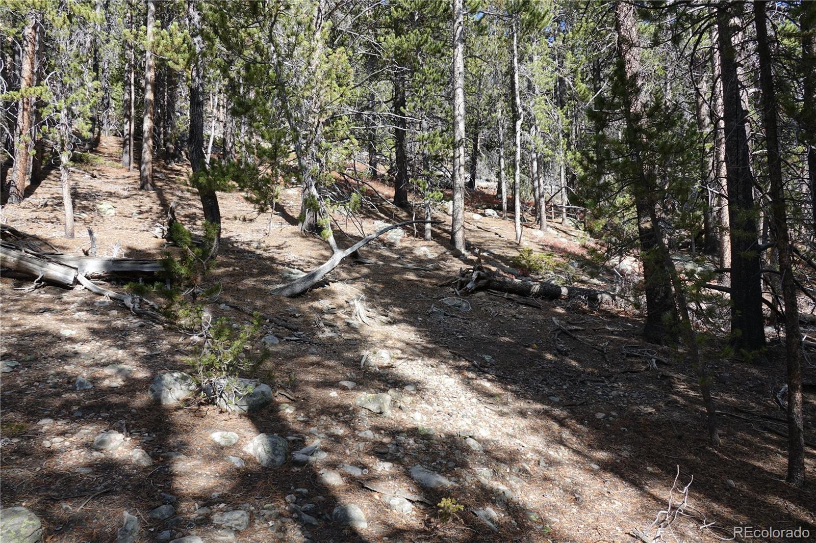 000 Loch Lomond Road & Vista Road Idaho Springs CO 80452