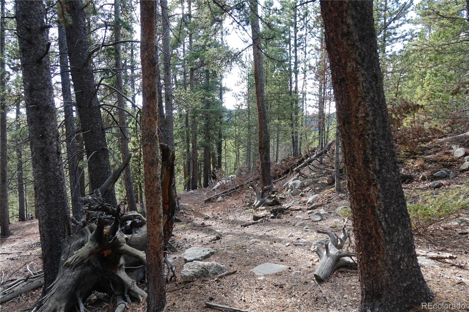 000 Loch Lomond Road & Vista Road Idaho Springs CO 80452