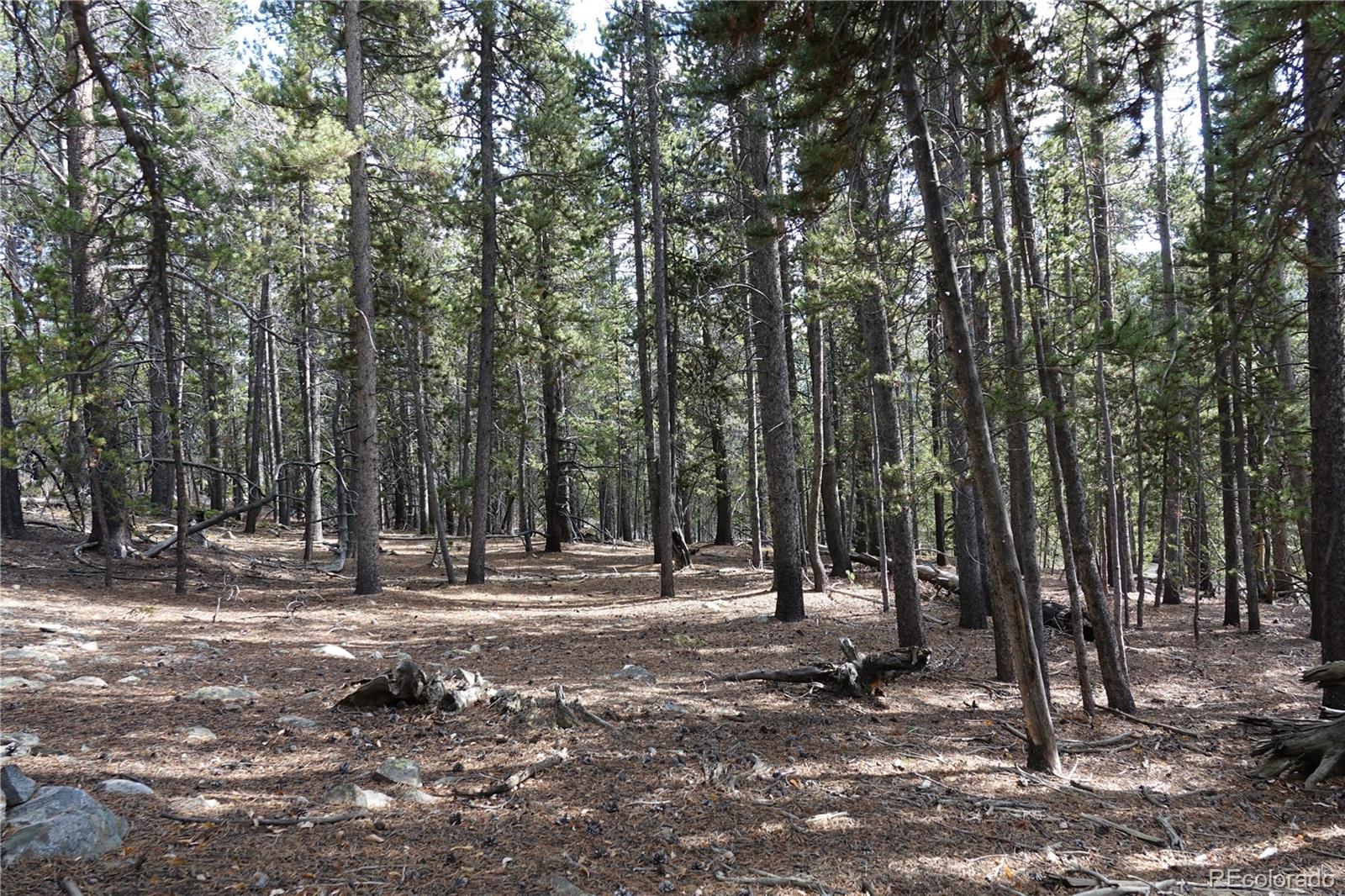 000 Loch Lomond Road & Vista Road Idaho Springs CO 80452