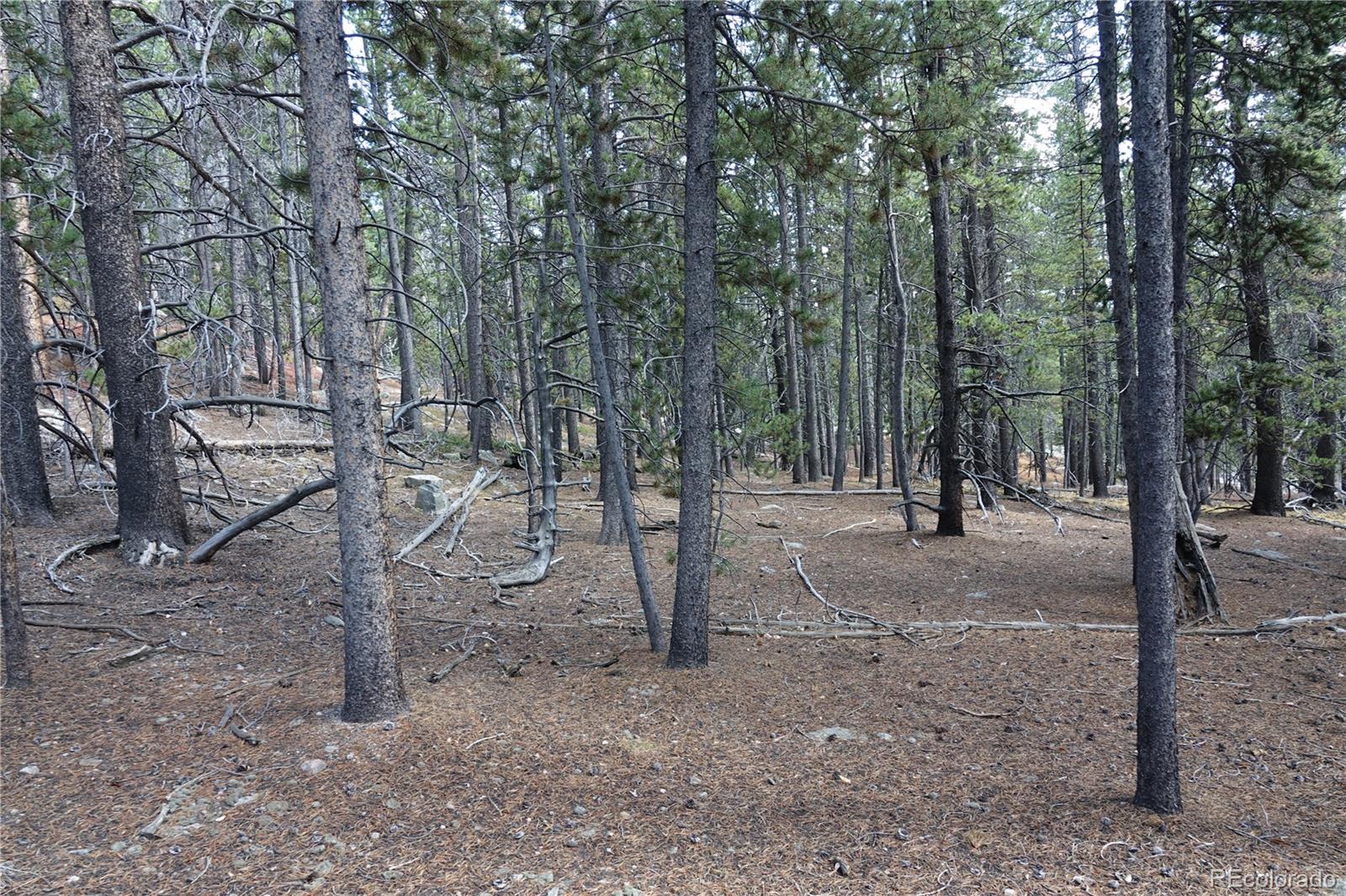000 Loch Lomond Road & Vista Road Idaho Springs CO 80452