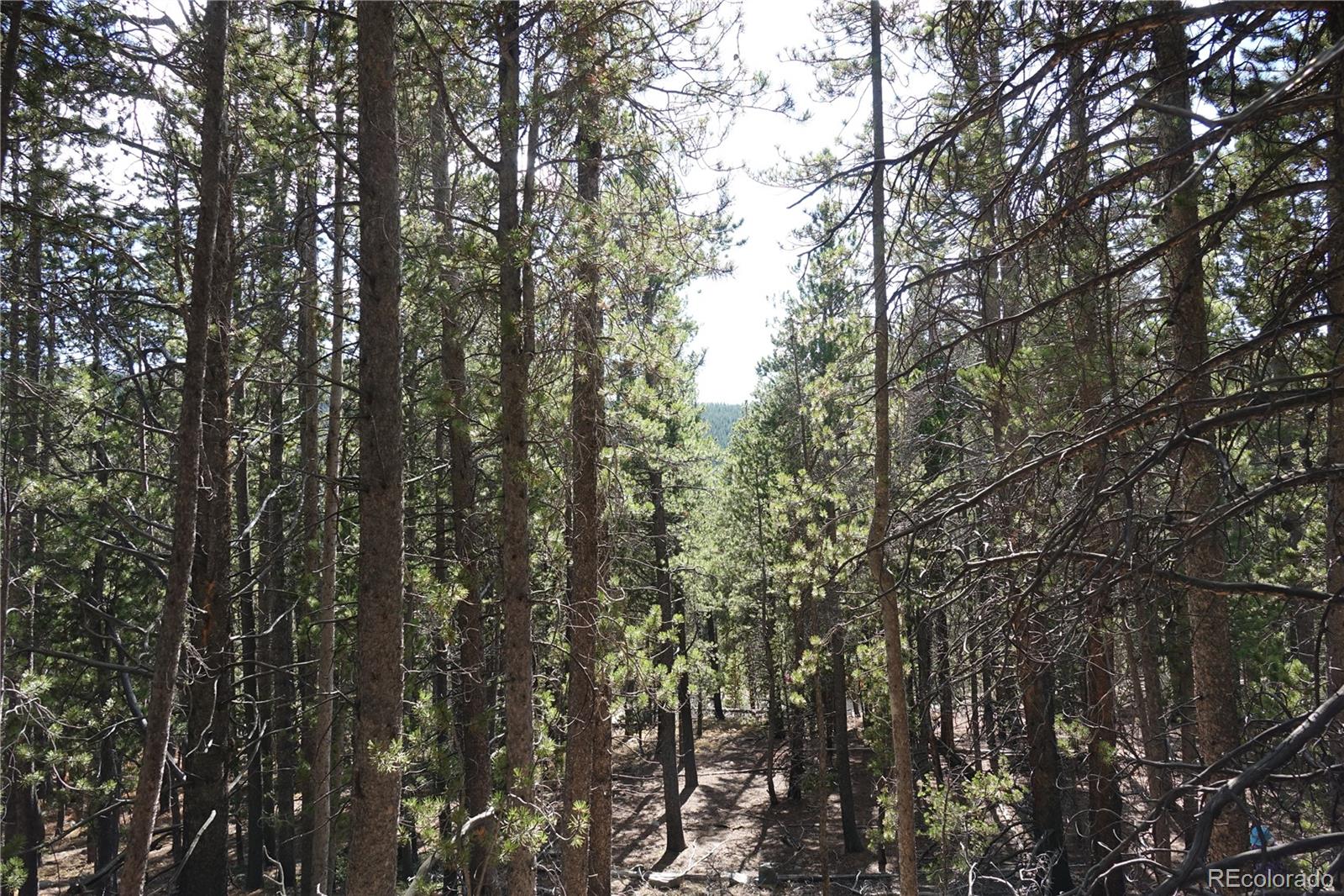 000 Loch Lomond Road & Vista Road Idaho Springs CO 80452