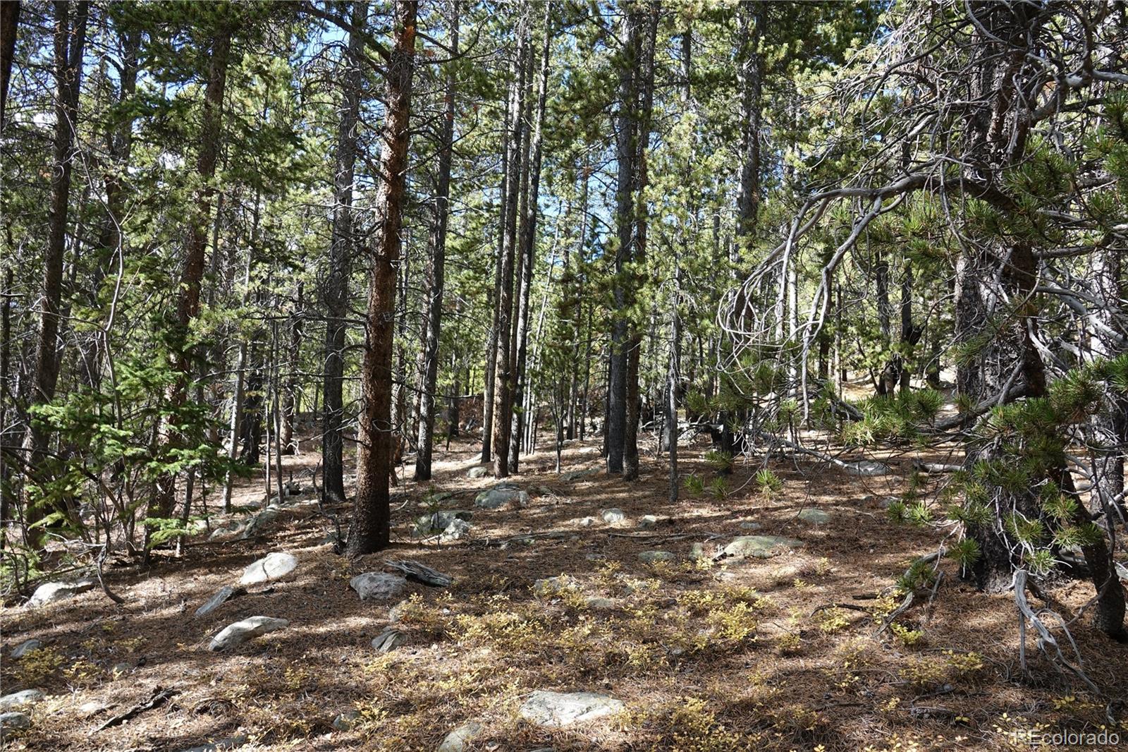 000 Loch Lomond Road & Vista Road Idaho Springs CO 80452