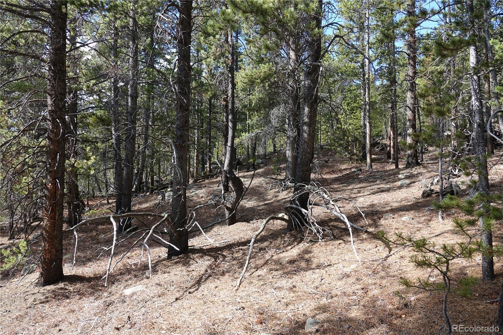 000 Loch Lomond Road & Vista Road Idaho Springs CO 80452