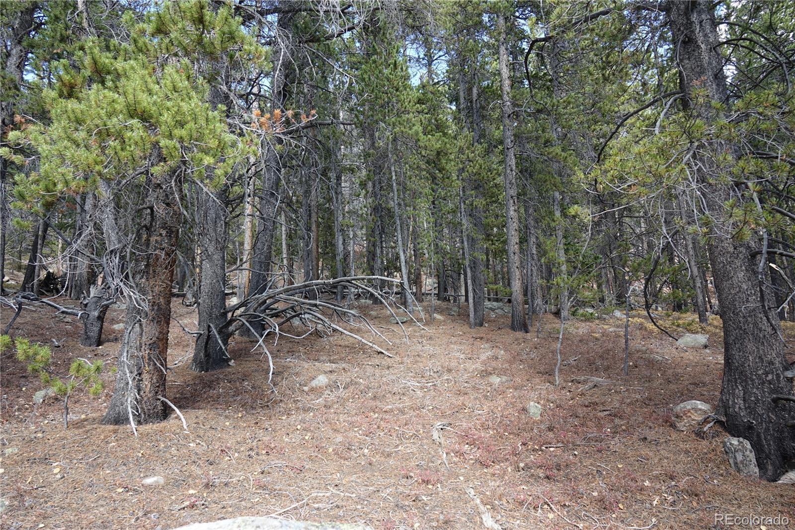 000 Loch Lomond Road & Vista Road Idaho Springs CO 80452