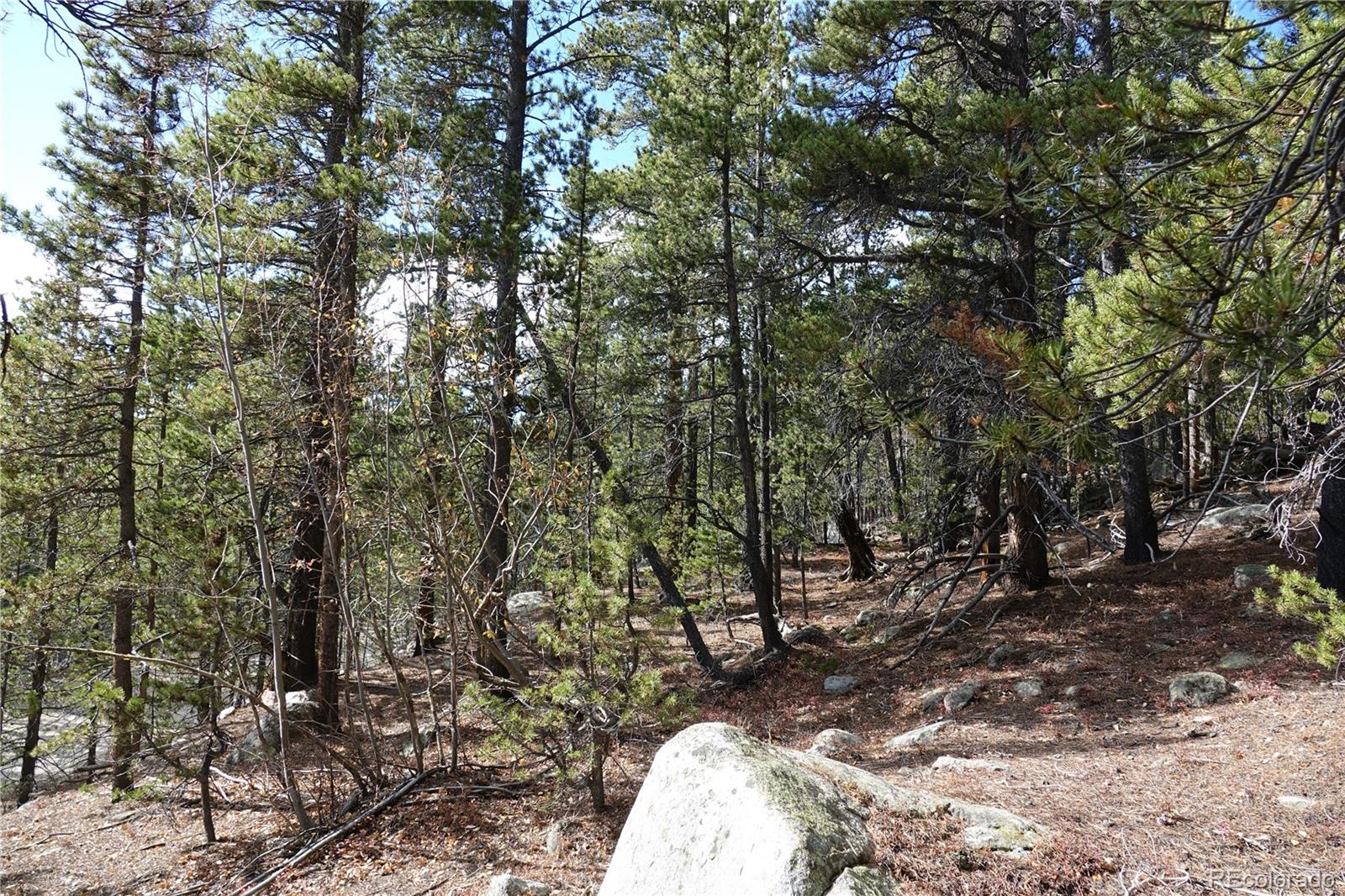 000 Loch Lomond Road & Vista Road Idaho Springs CO 80452