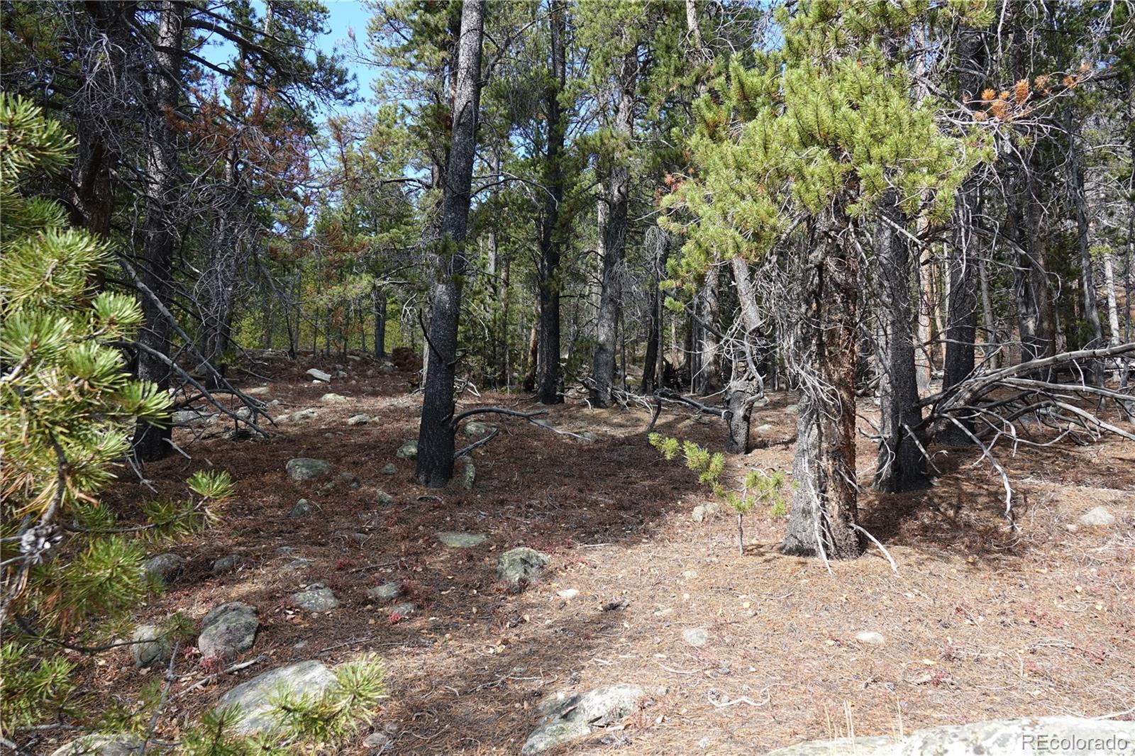000 Loch Lomond Road & Vista Road Idaho Springs CO 80452