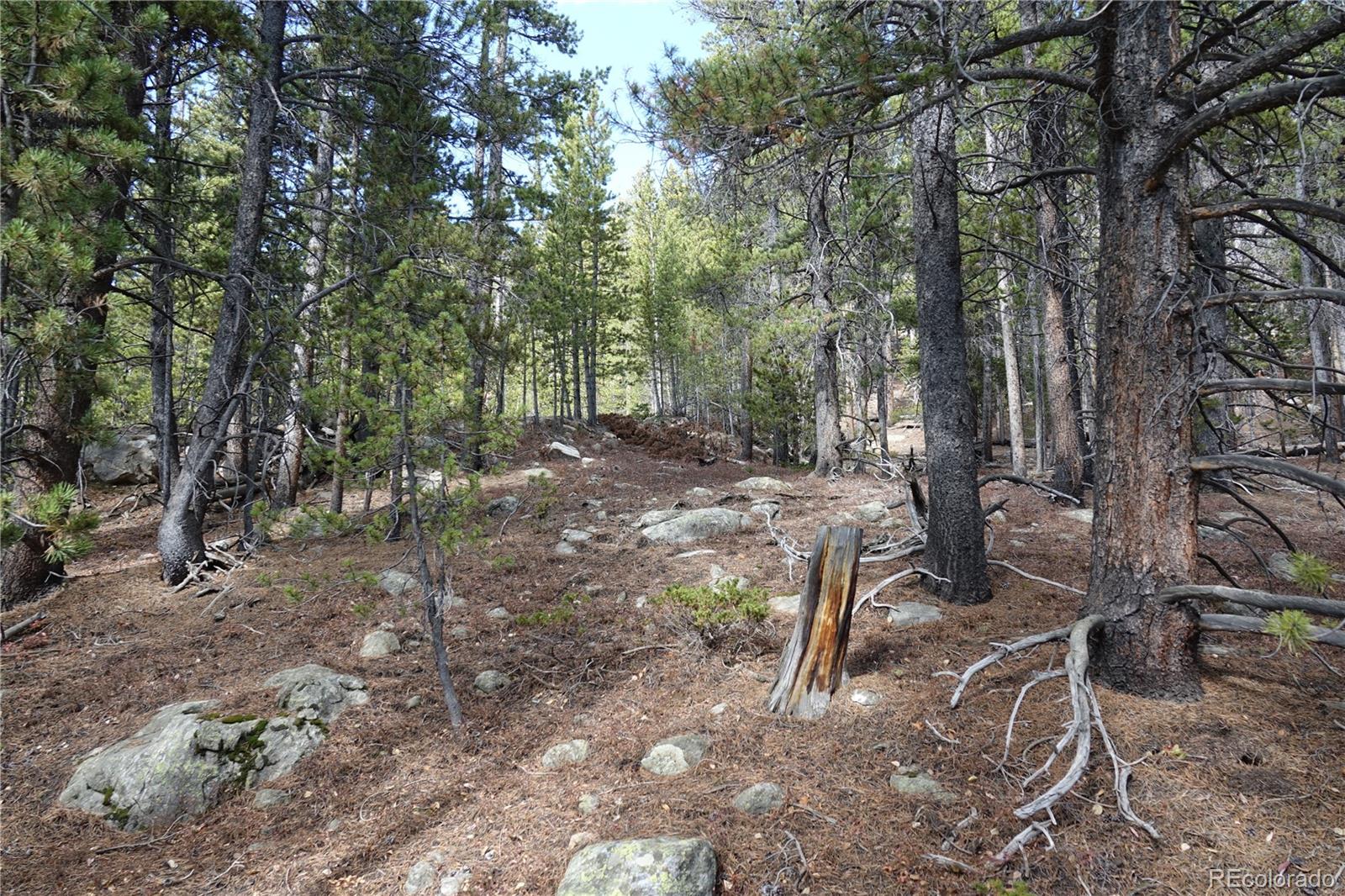000 Loch Lomond Road & Vista Road Idaho Springs CO 80452