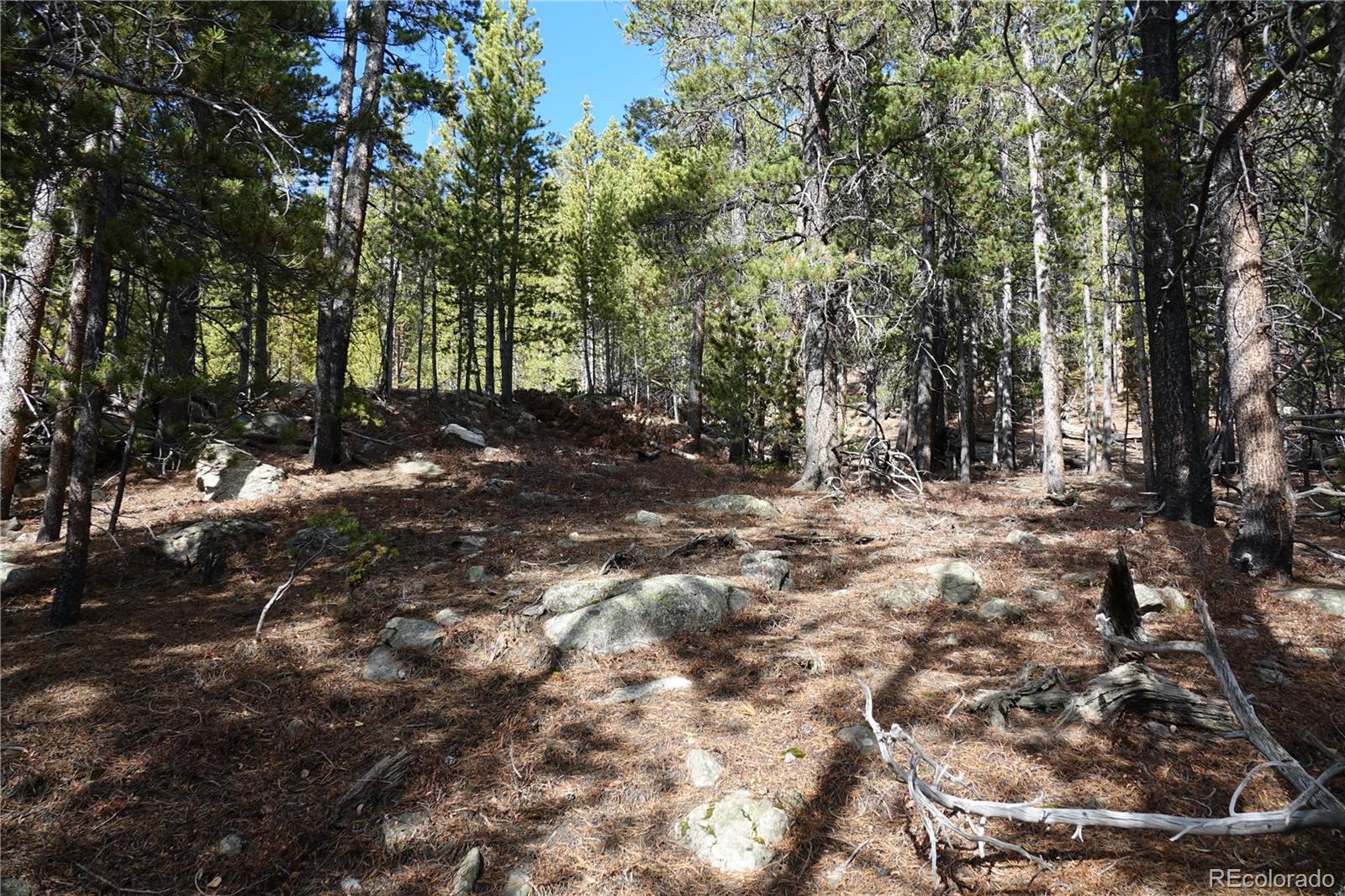 000 Loch Lomond Road & Vista Road Idaho Springs CO 80452