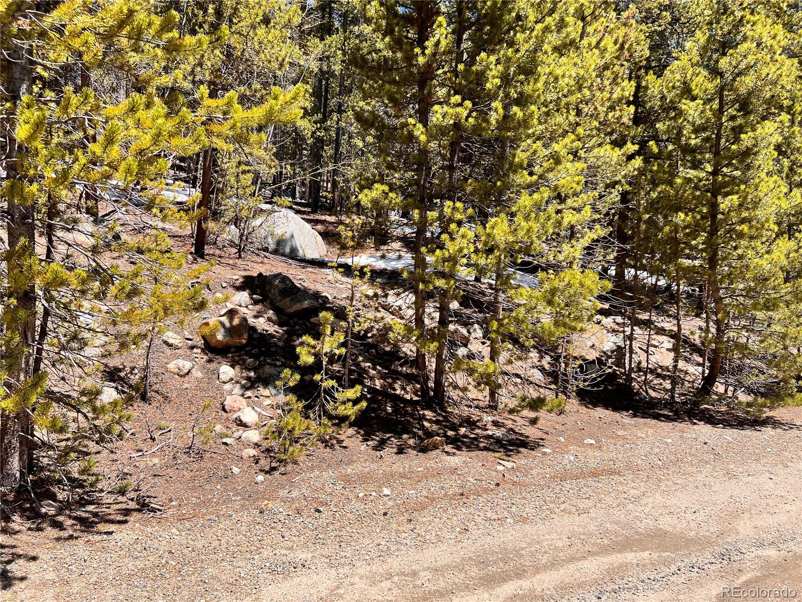 000 Loch Lomond Road & Vista Road Idaho Springs CO 80452