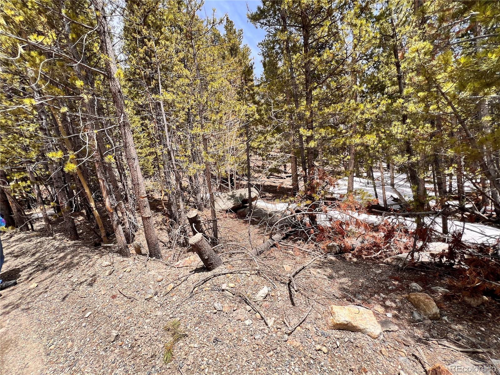 000 Loch Lomond Road & Vista Road Idaho Springs CO 80452