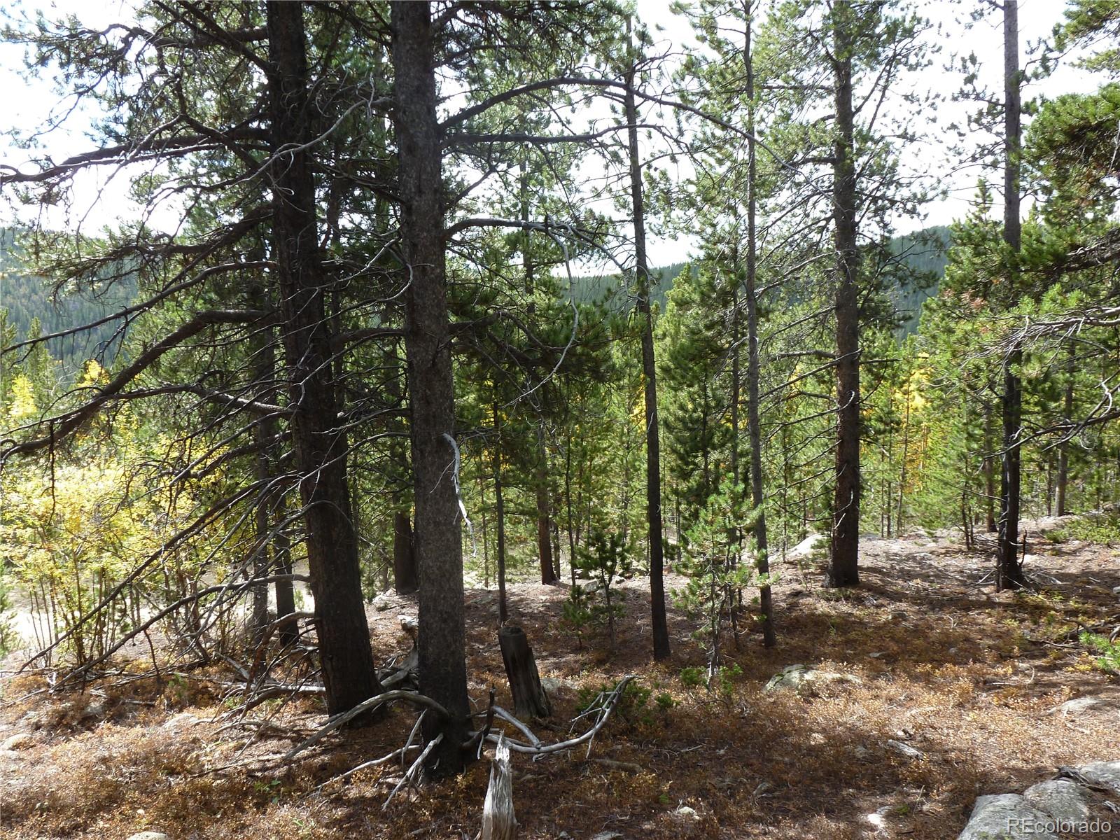 000 Loch Lomond Road & Vista Road Idaho Springs CO 80452