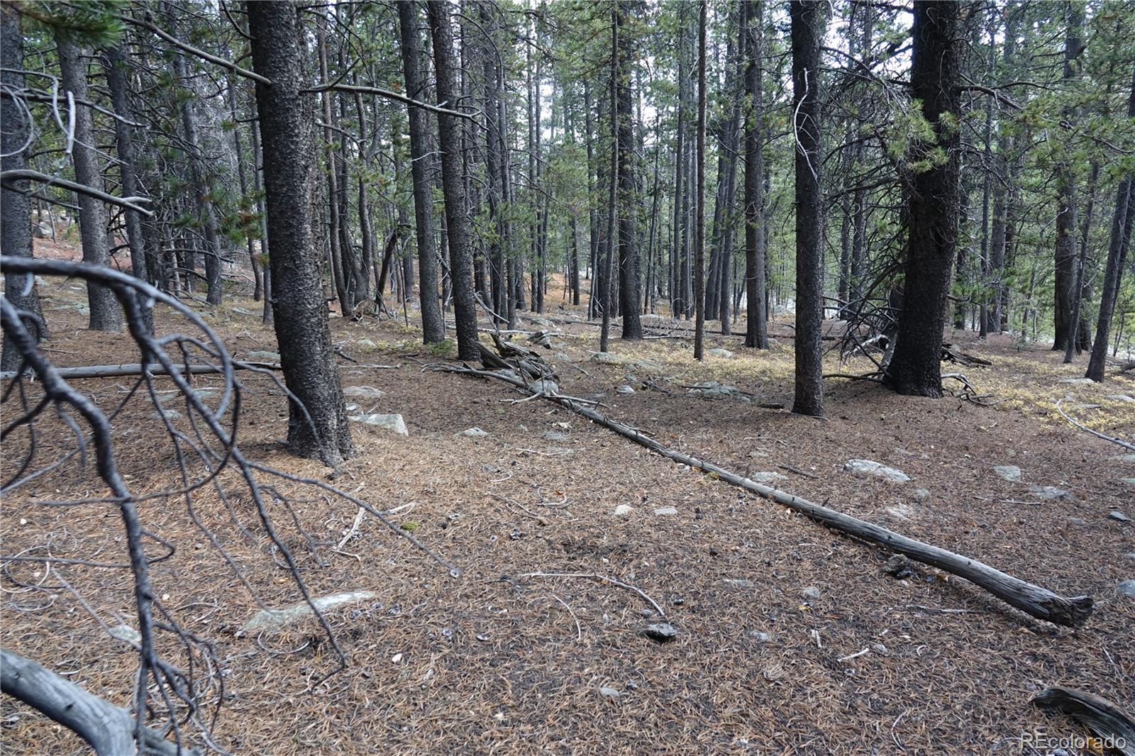 000 Loch Lomond Road & Vista Road Idaho Springs CO 80452