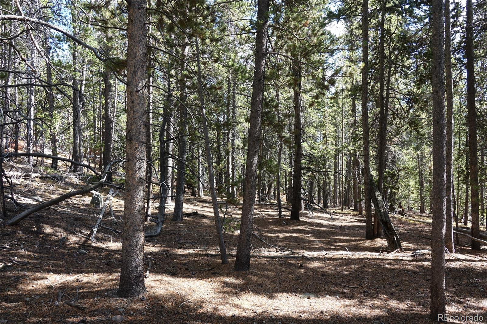 000 Loch Lomond Road & Vista Road Idaho Springs CO 80452