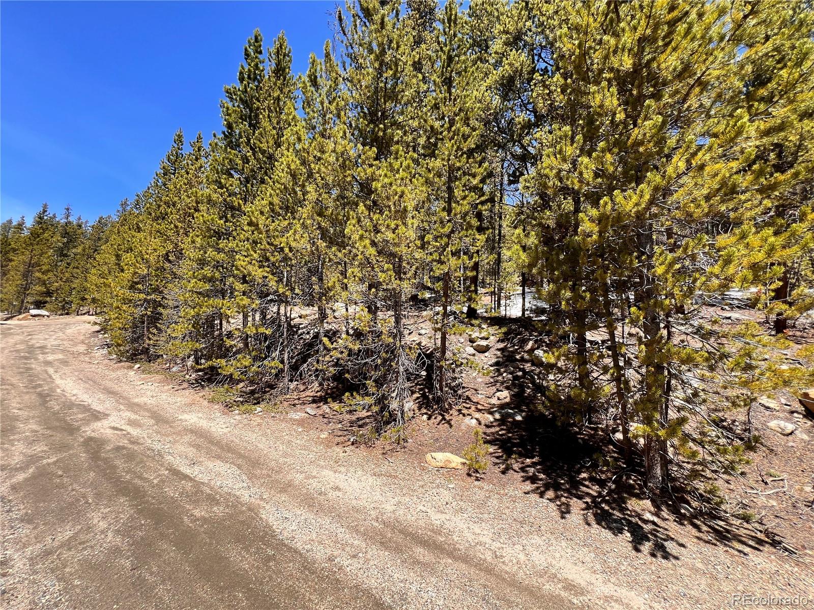 000 Loch Lomond Road & Vista Road Idaho Springs CO 80452