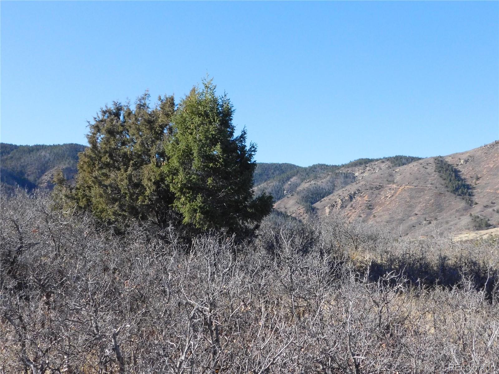 6271 Country Club Drive Larkspur CO 80118
