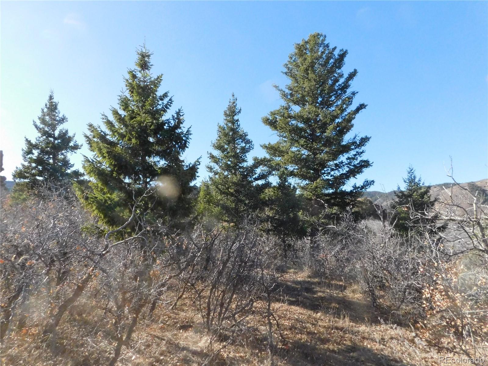 6271 Country Club Drive Larkspur CO 80118