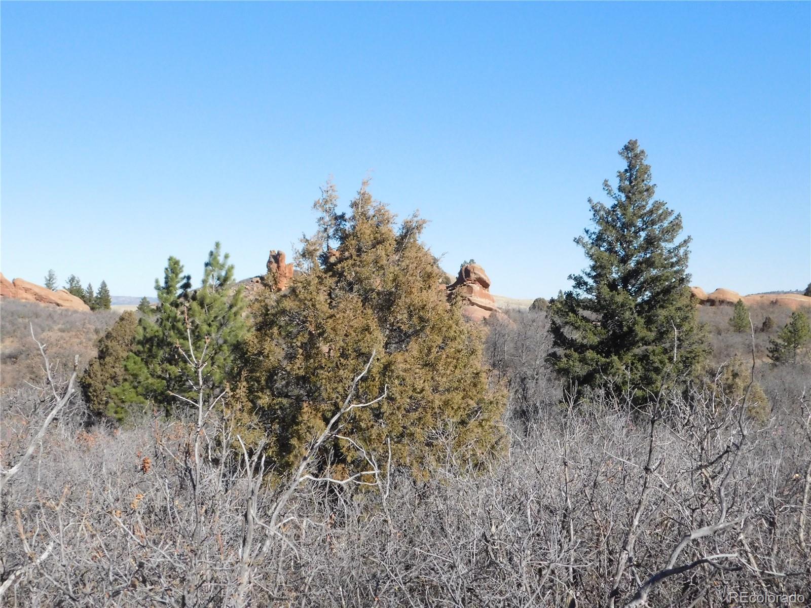 6271 Country Club Drive Larkspur CO 80118