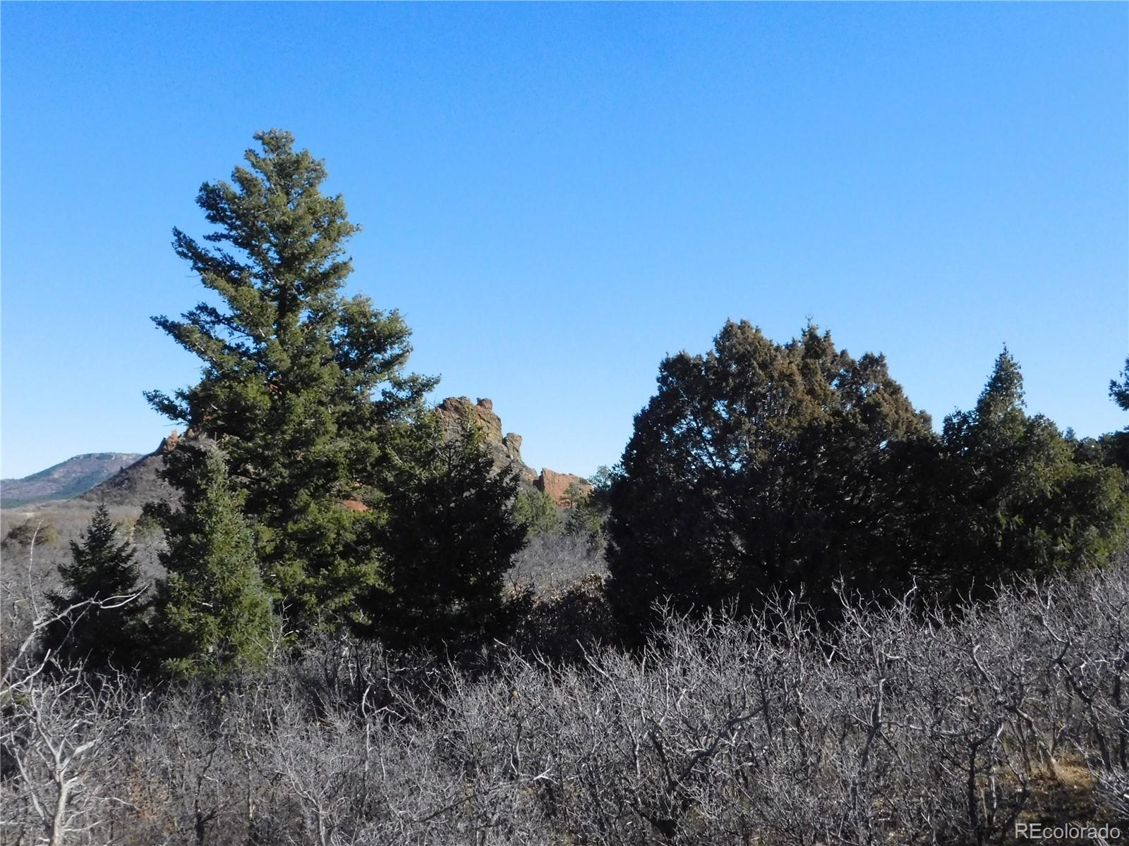 6271 Country Club Drive Larkspur CO 80118