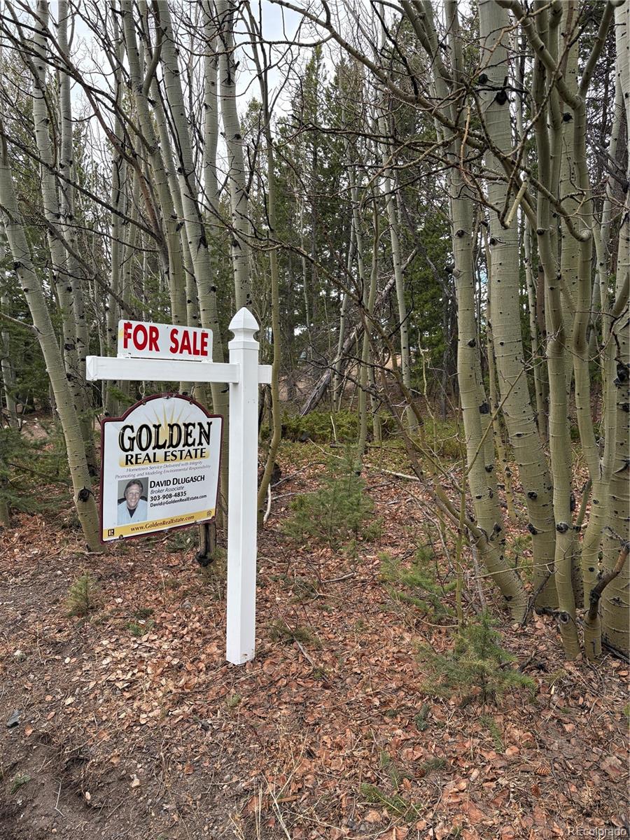 34251 Skyline Drive Golden CO 80403