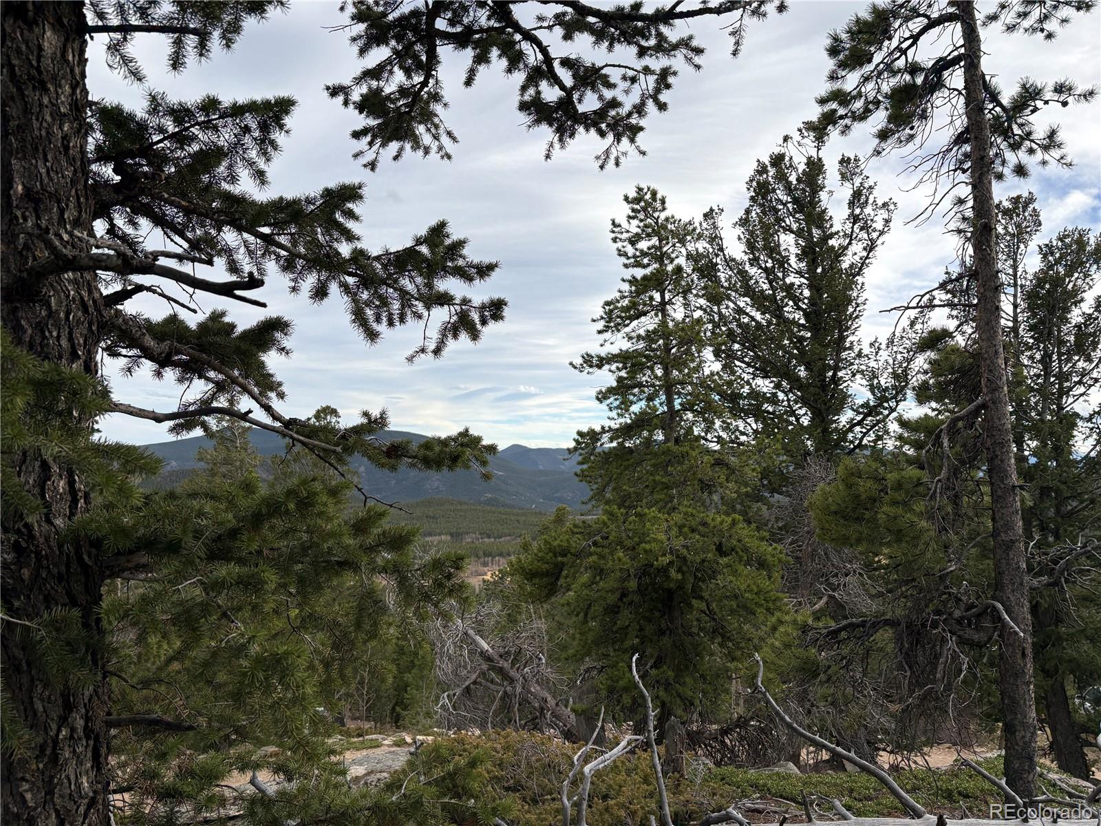 34251 Skyline Drive Golden CO 80403