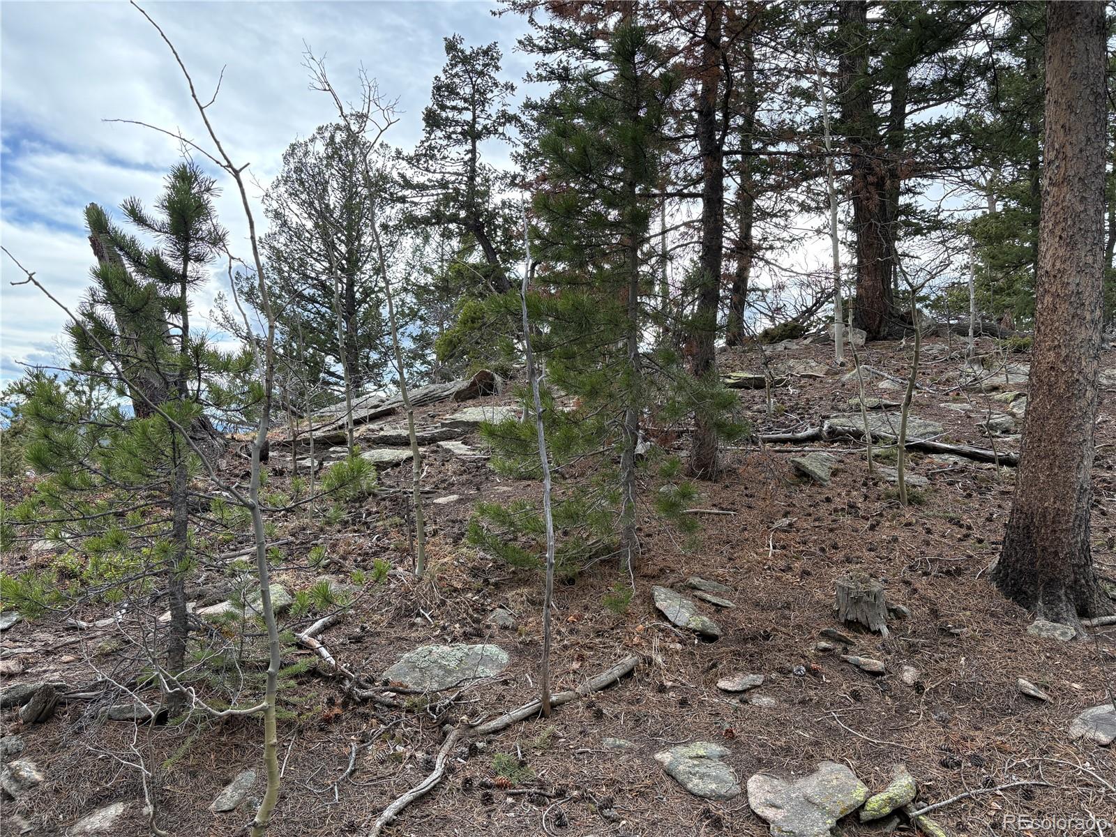 34251 Skyline Drive Golden CO 80403