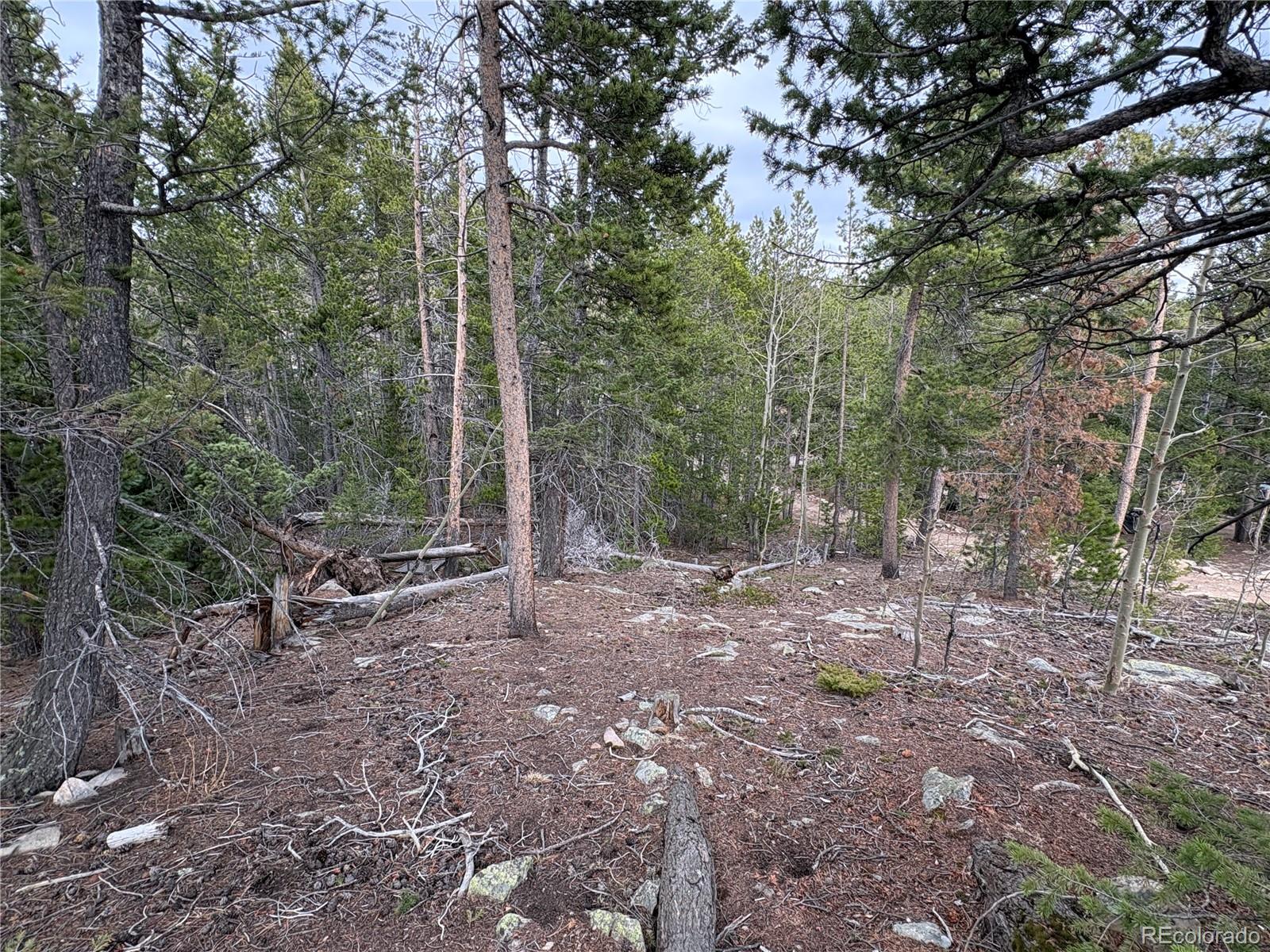 34251 Skyline Drive Golden CO 80403