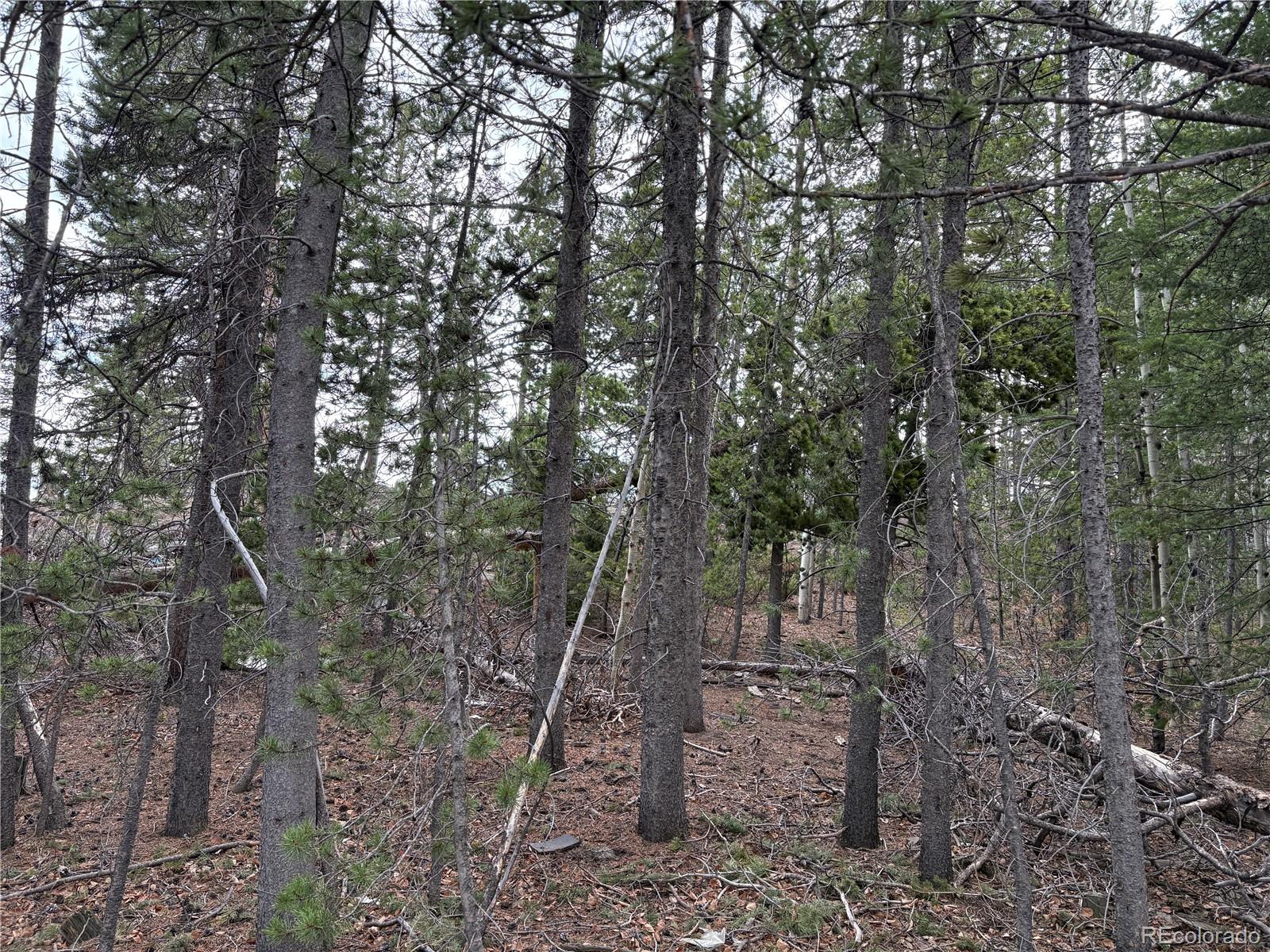 34251 Skyline Drive Golden CO 80403