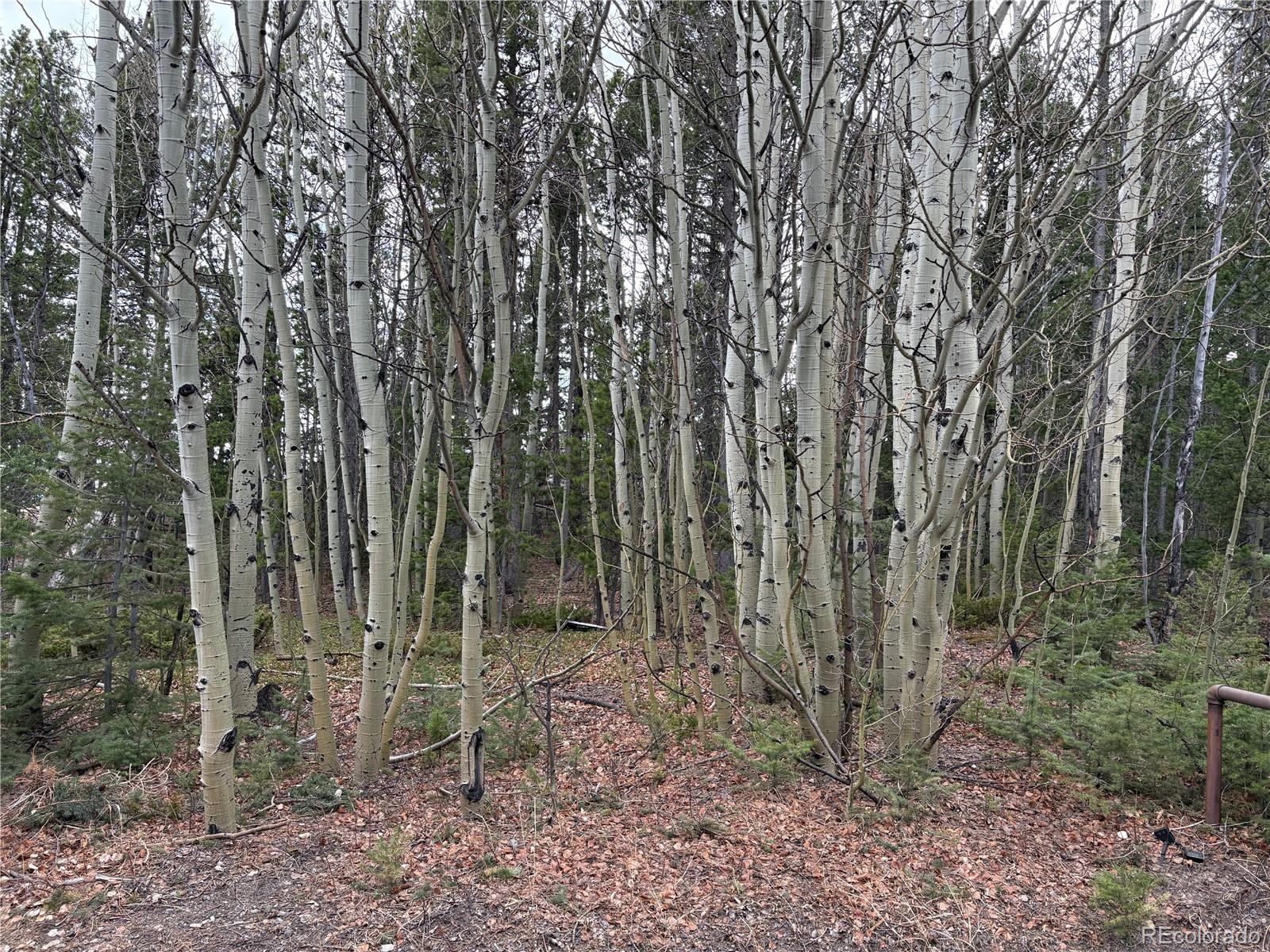 34251 Skyline Drive Golden CO 80403