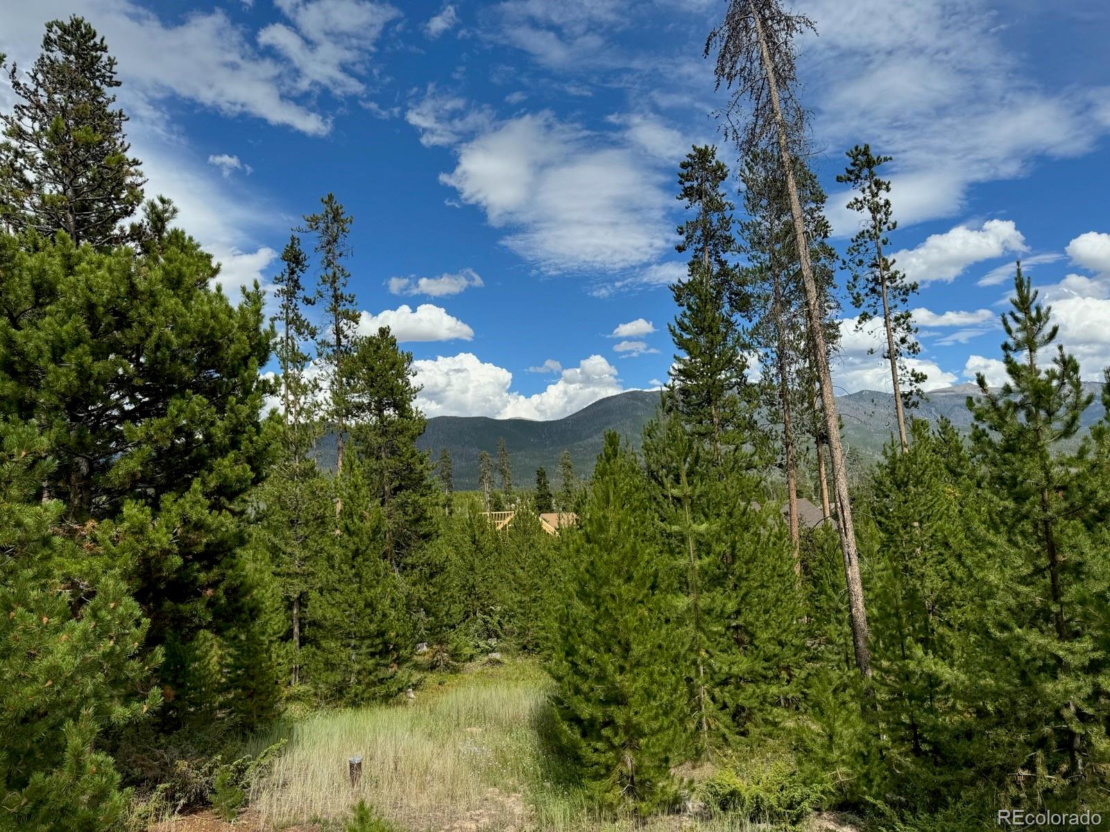 220 GCR 4571 Grand Lake CO 80447