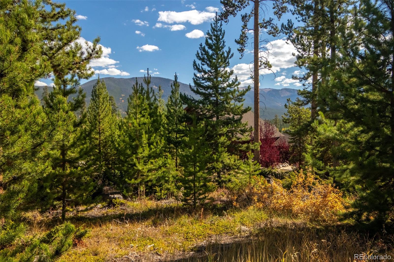 220 GCR 4571 Grand Lake CO 80447