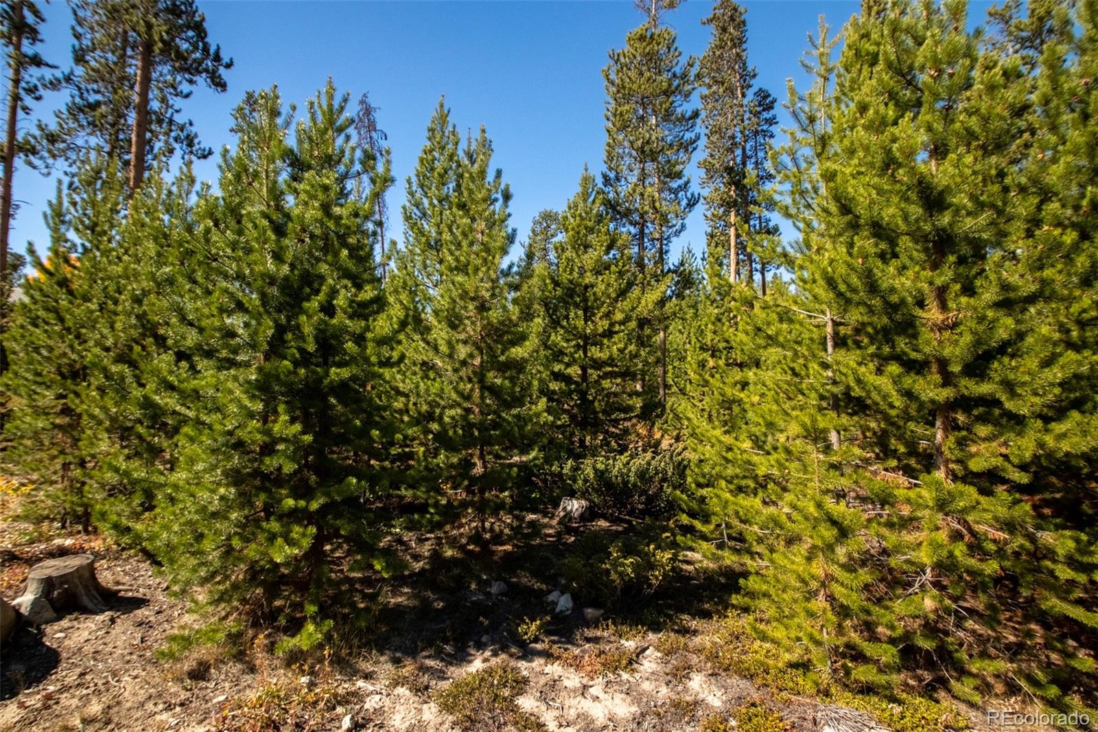 220 GCR 4571 Grand Lake CO 80447