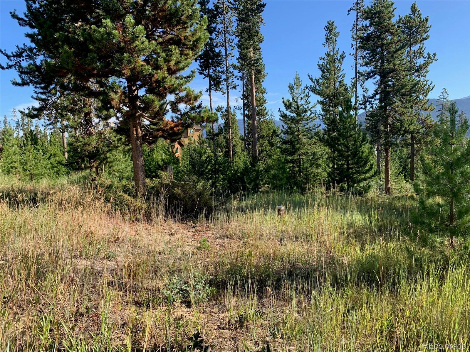 220 GCR 4571 Grand Lake CO 80447