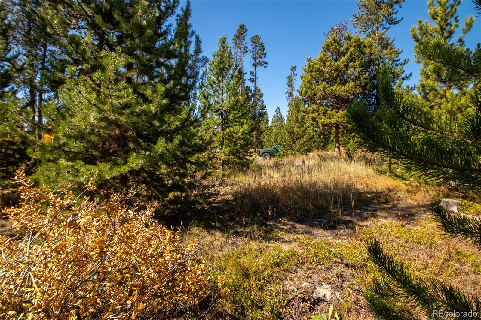 220 GCR 4571 Grand Lake CO 80447