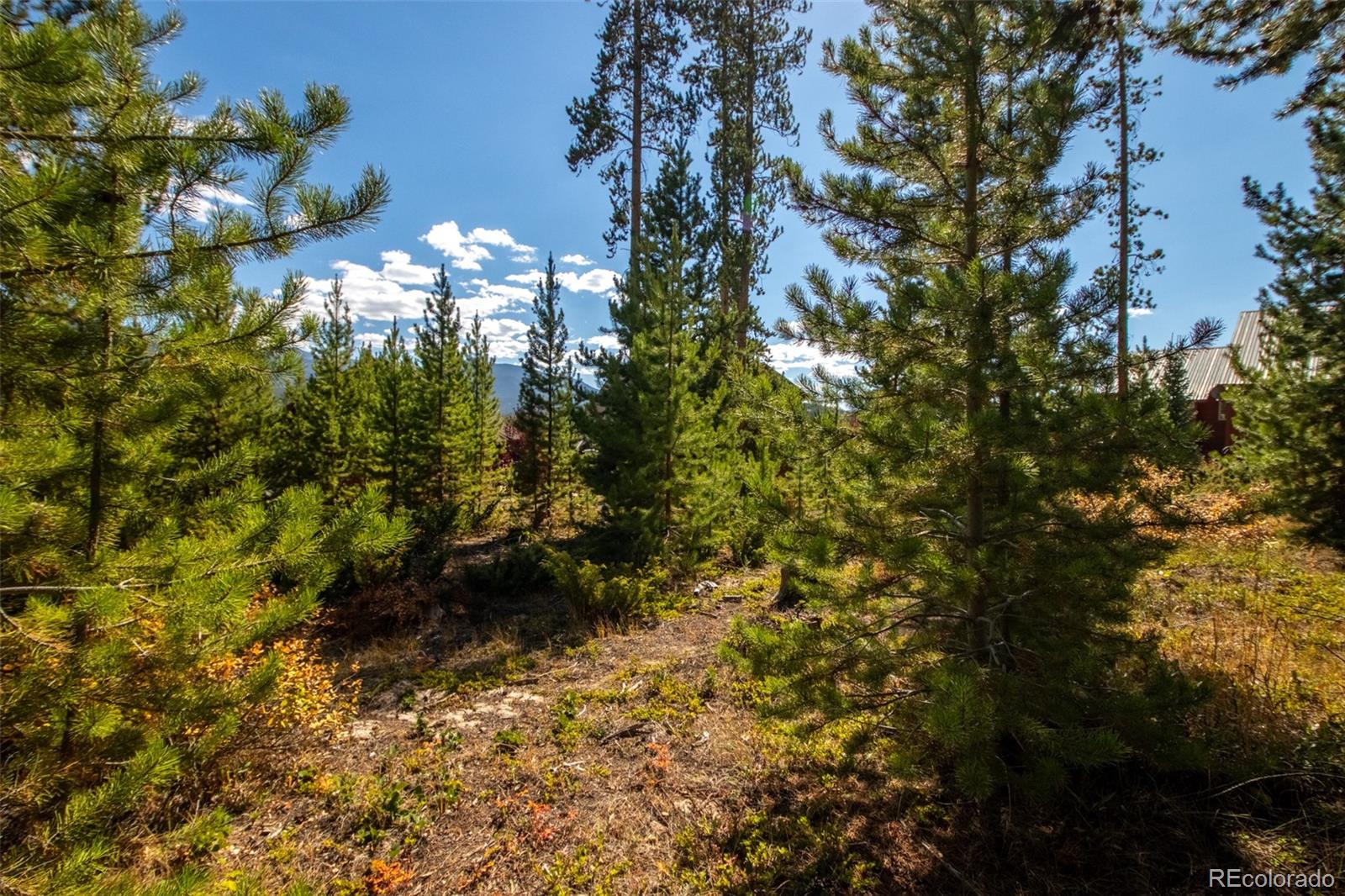 220 GCR 4571 Grand Lake CO 80447