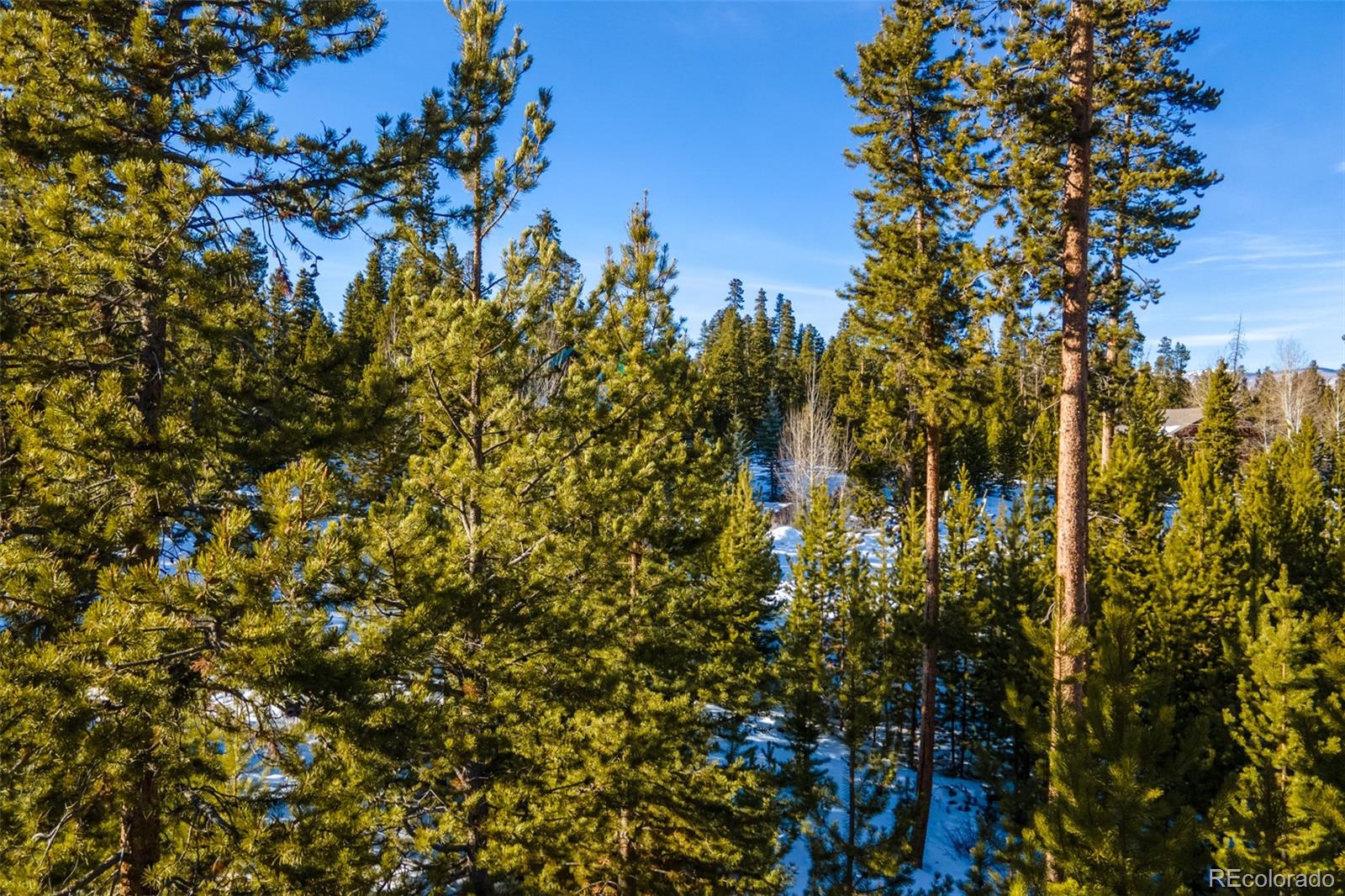 220 GCR 4571 Grand Lake CO 80447