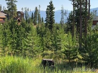 220 GCR 4571 Grand Lake CO 80447