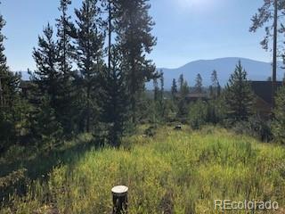 220 GCR 4571 Grand Lake CO 80447