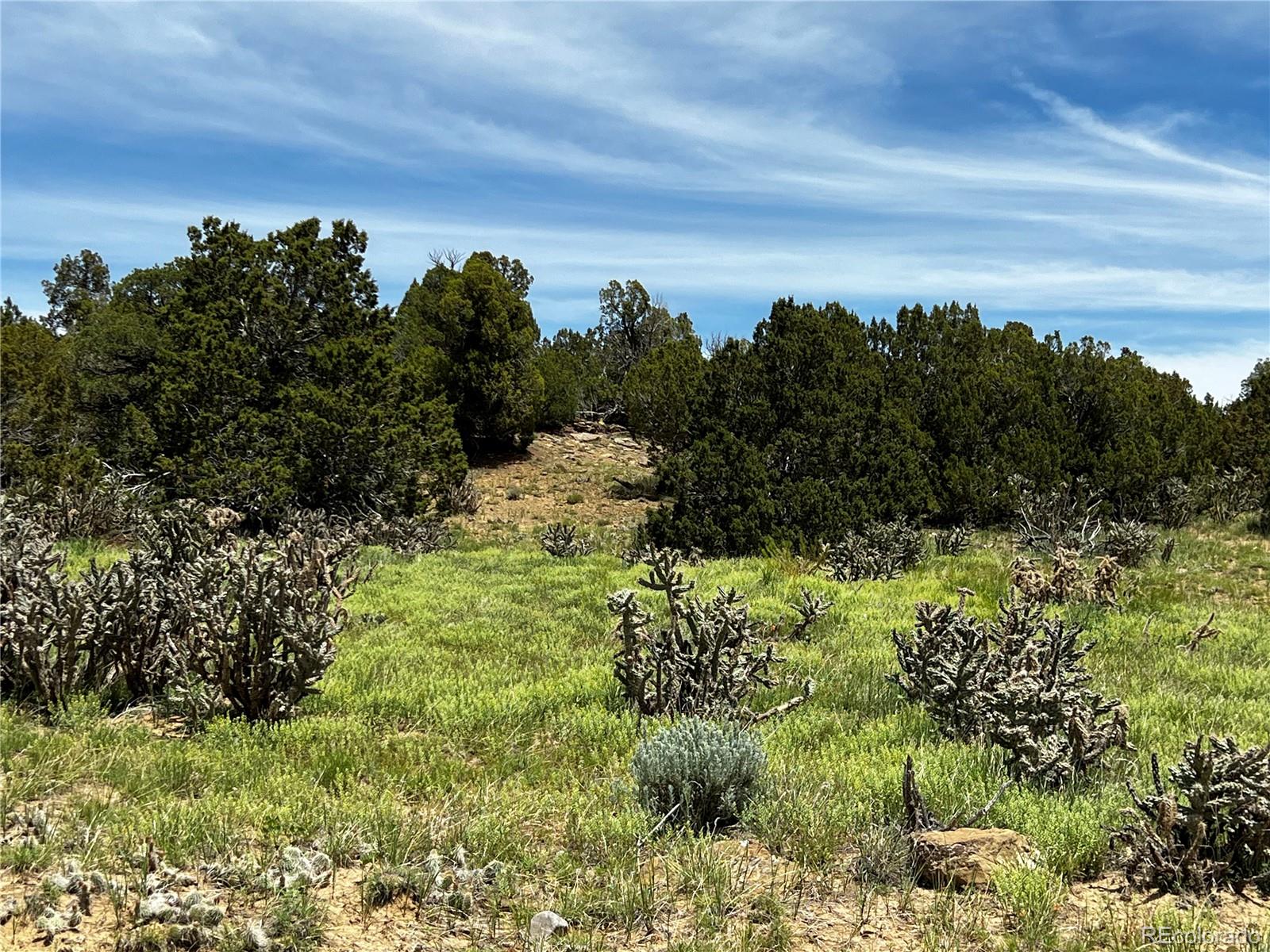 Lot 589 La Deora Boulevard Walsenburg CO 81089
