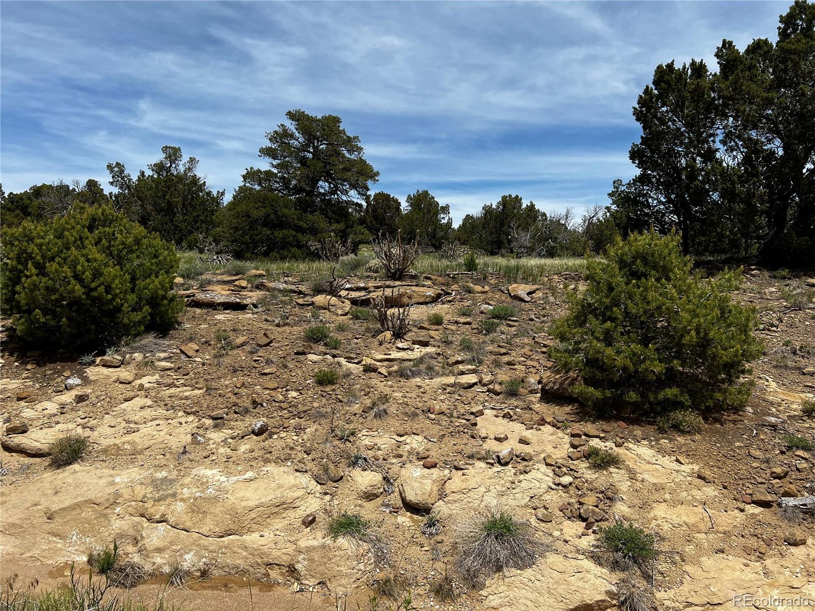 Lot 589 La Deora Boulevard Walsenburg CO 81089