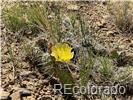 Lot 589 La Deora Boulevard Walsenburg CO 81089