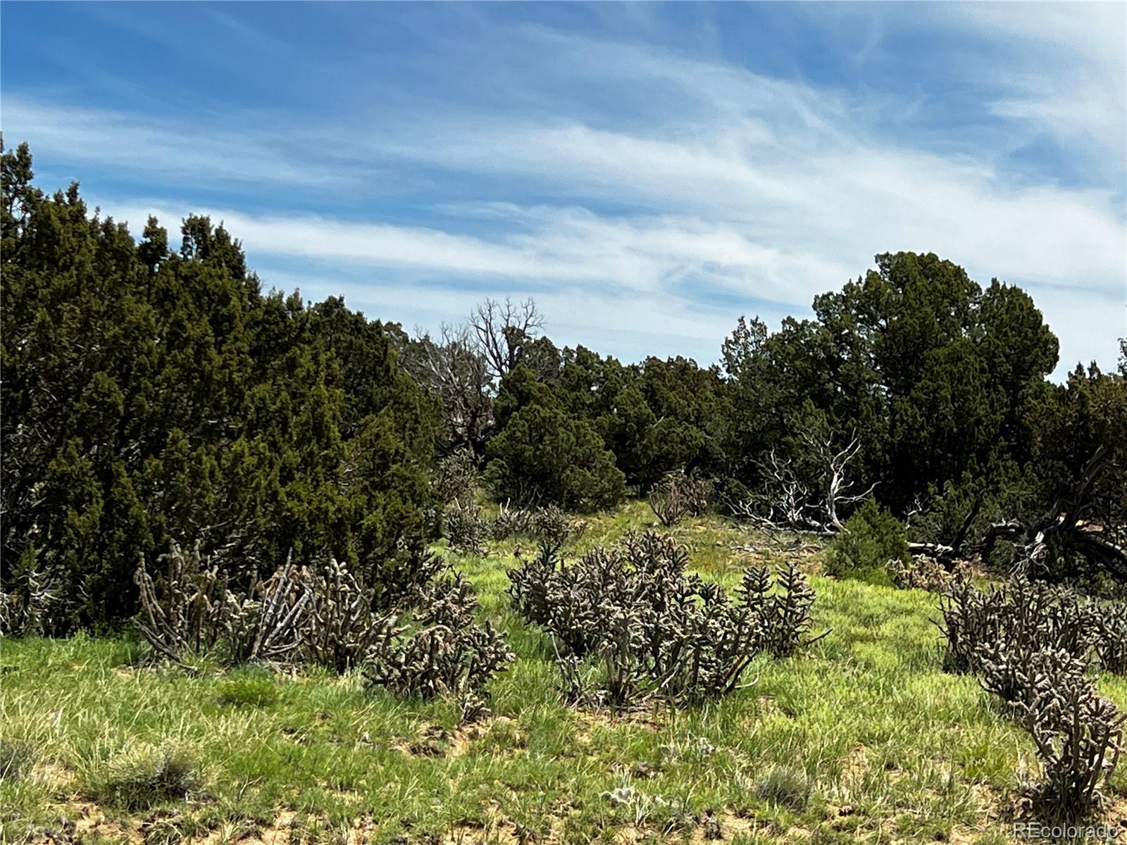 Lot 589 La Deora Boulevard Walsenburg CO 81089