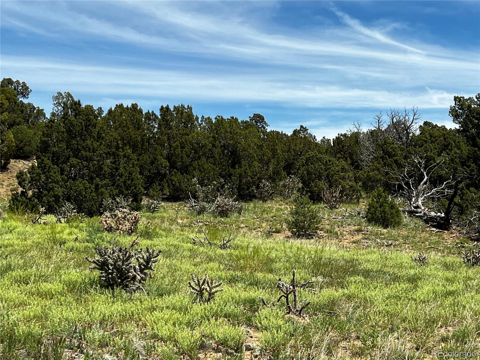 Lot 589 La Deora Boulevard Walsenburg CO 81089