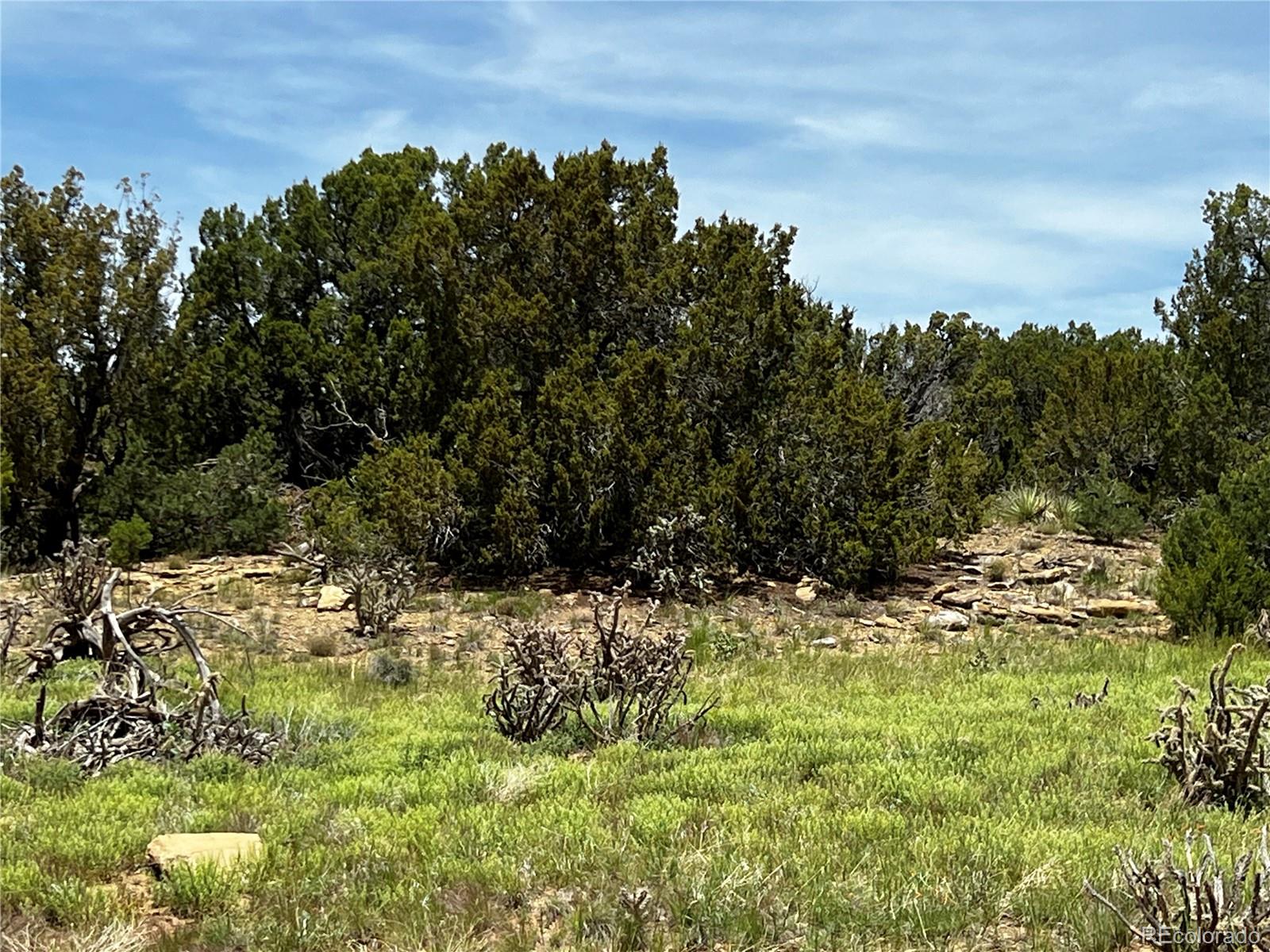 Lot 589 La Deora Boulevard Walsenburg CO 81089