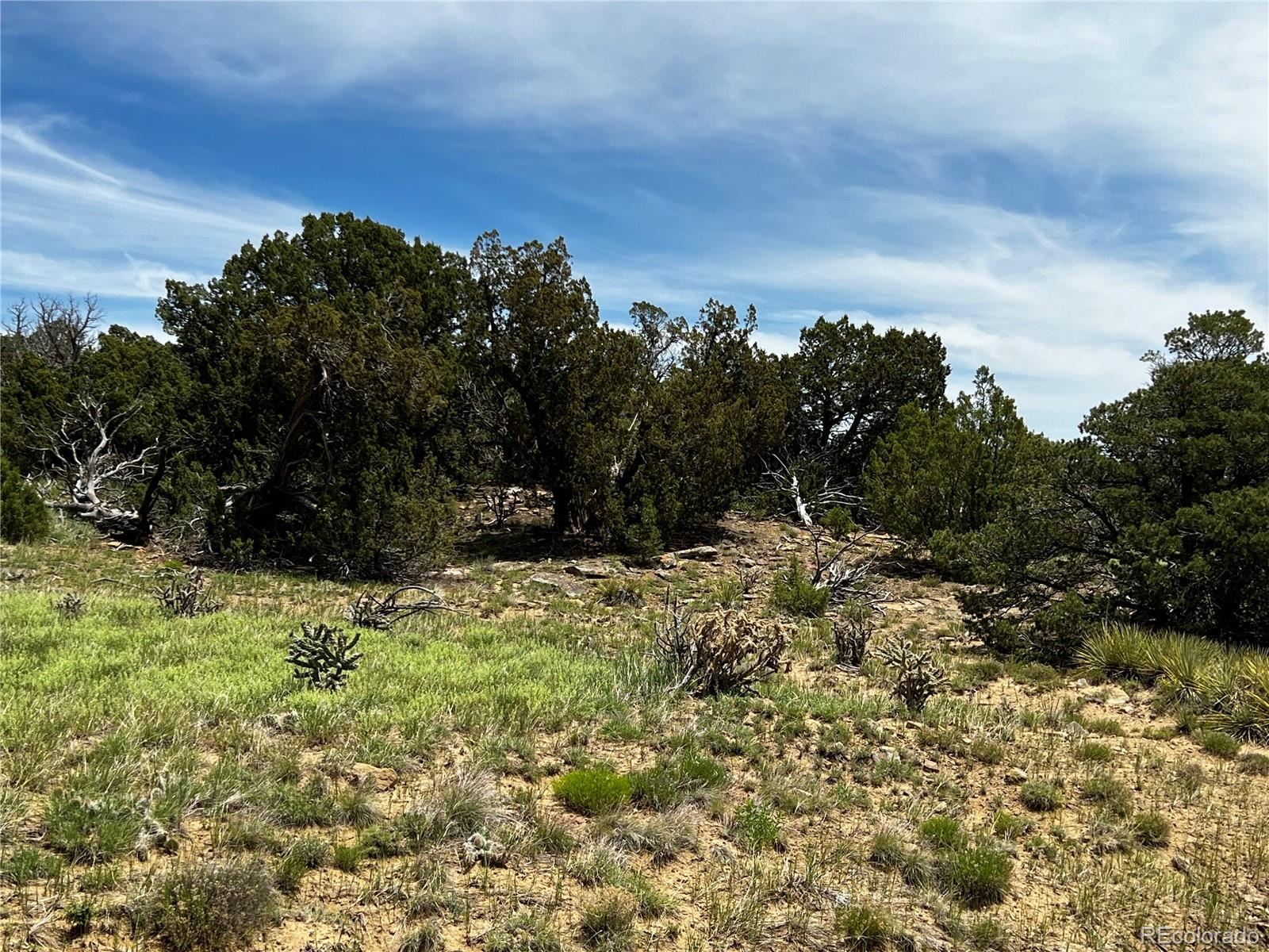 Lot 589 La Deora Boulevard Walsenburg CO 81089