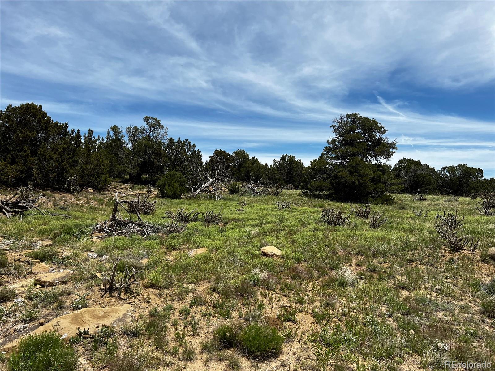 Lot 589 La Deora Boulevard Walsenburg CO 81089