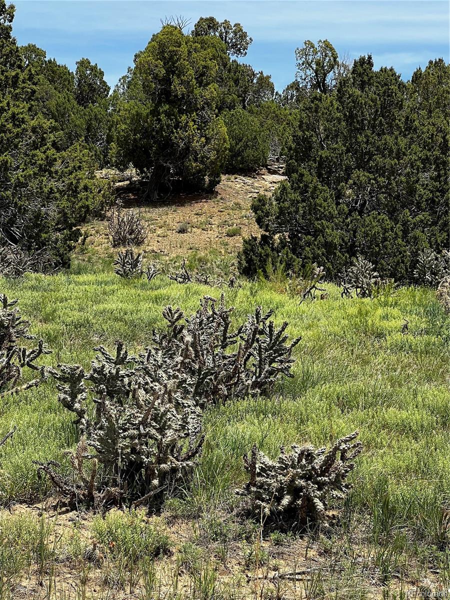 Lot 589 La Deora Boulevard Walsenburg CO 81089