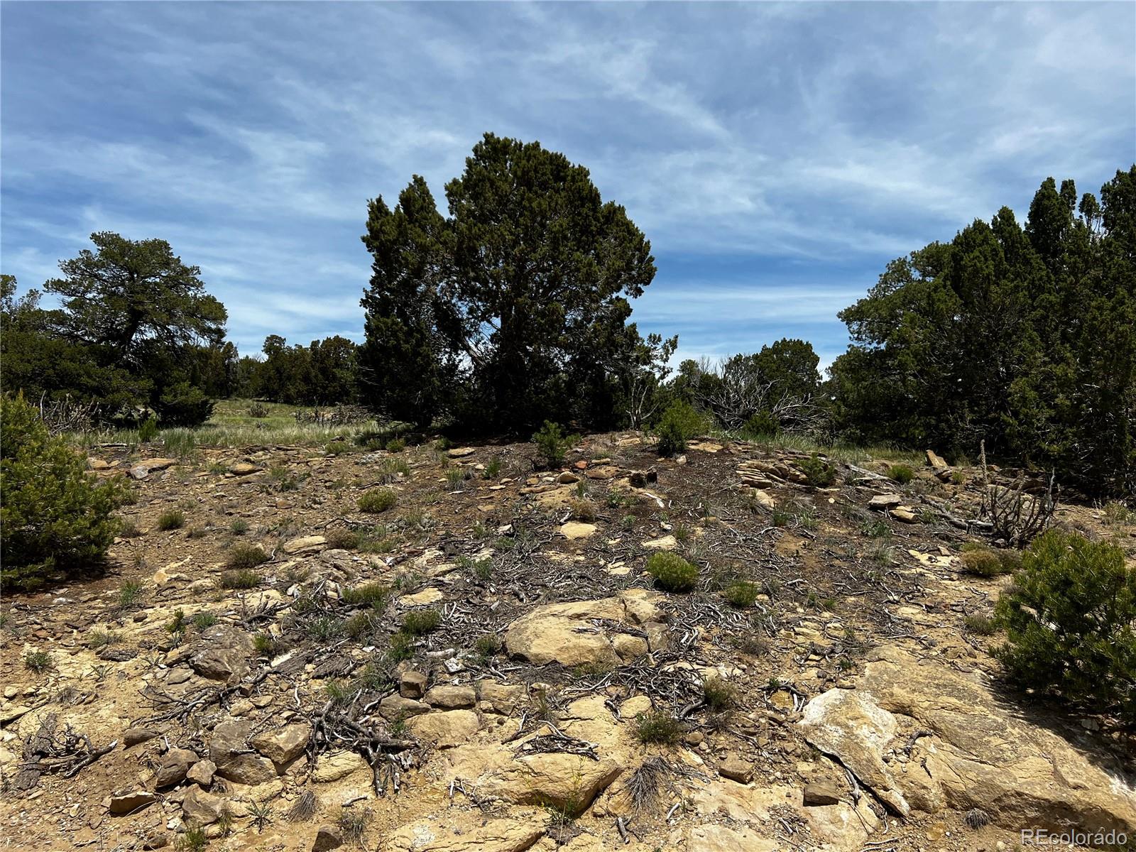 Lot 589 La Deora Boulevard Walsenburg CO 81089