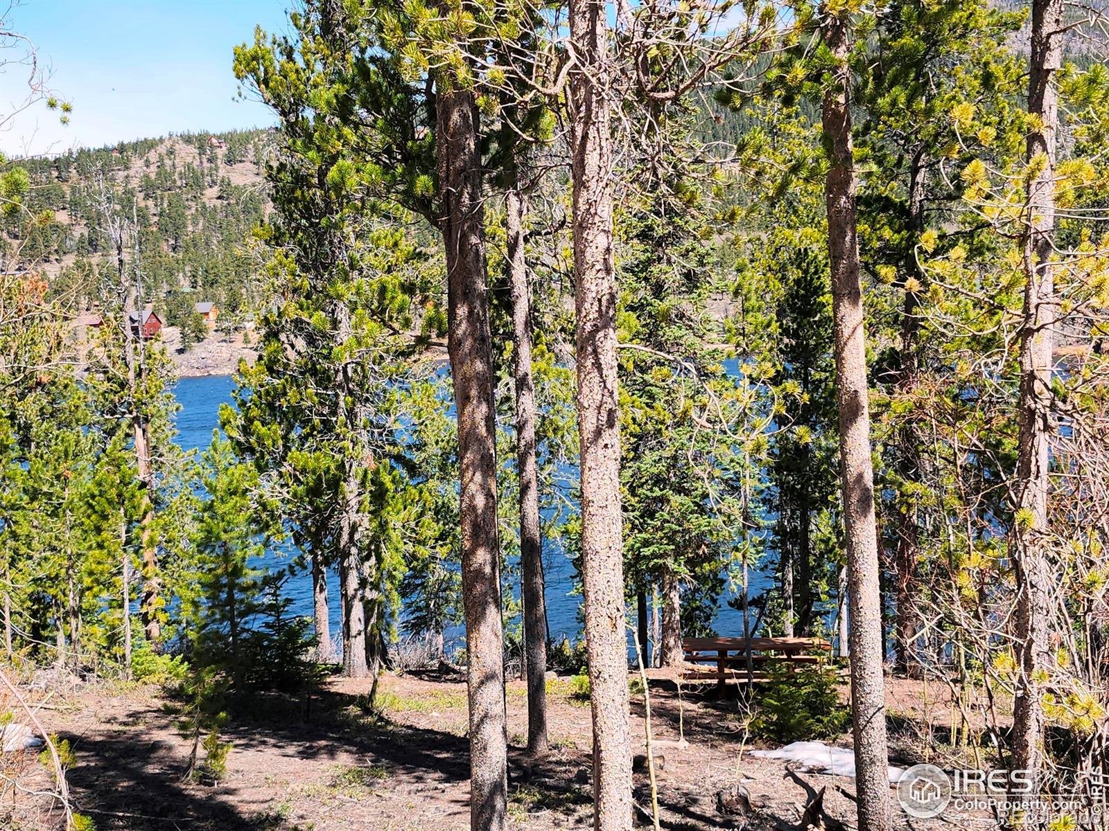 86 Timicua Court Red Feather Lakes CO 80545
