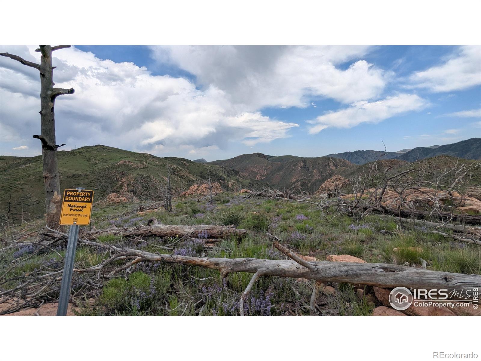 1360 Meadow Mountain Drive Livermore CO 80536