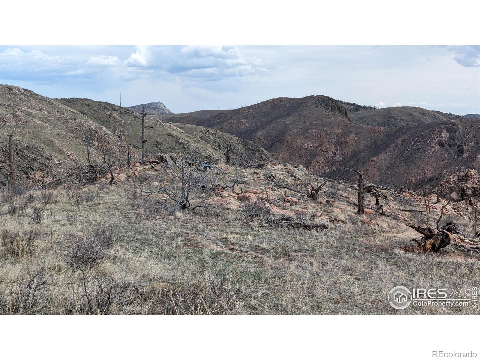 1360 Meadow Mountain Drive Livermore CO 80536